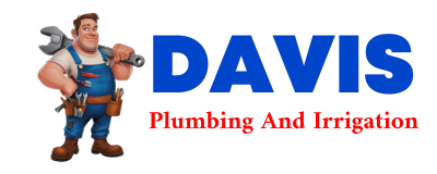 Trusted plumber in SARGEANT