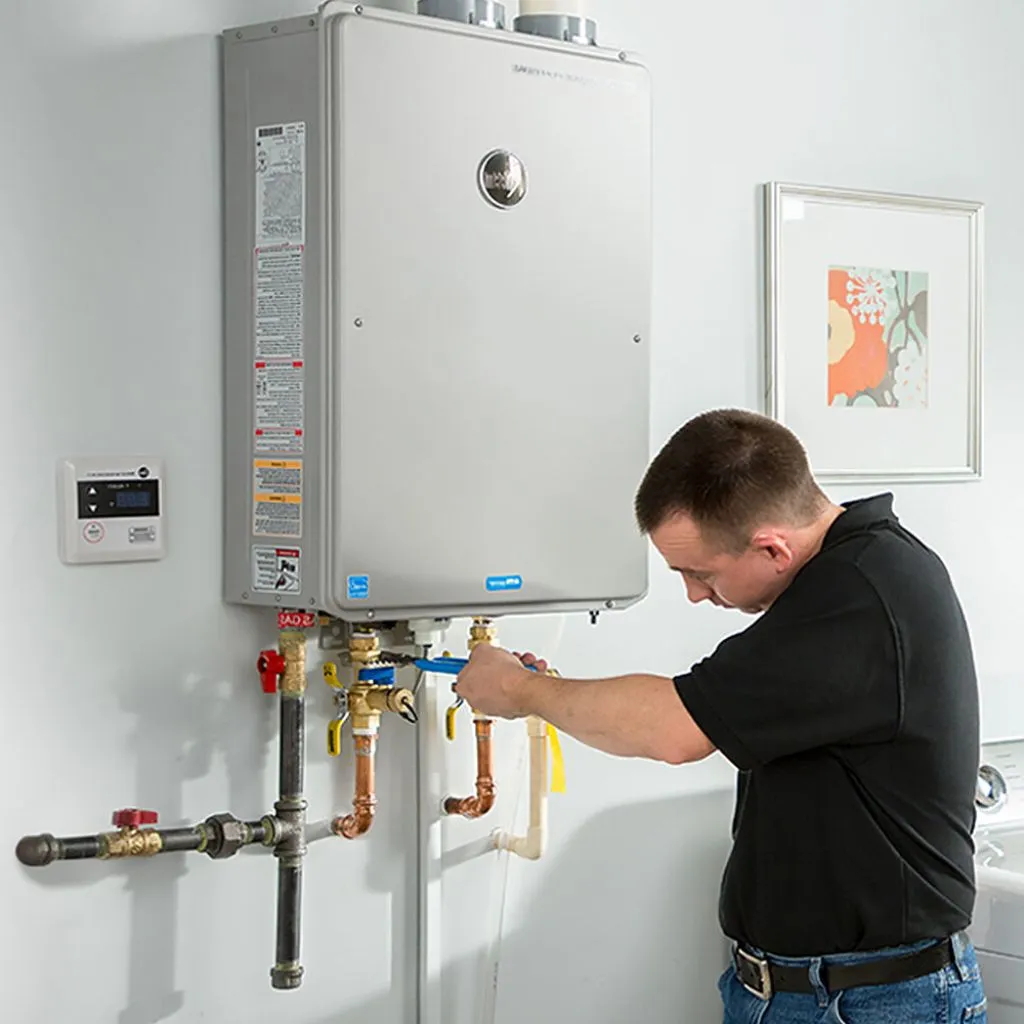 tankless water heater repair in Sargeant, MN